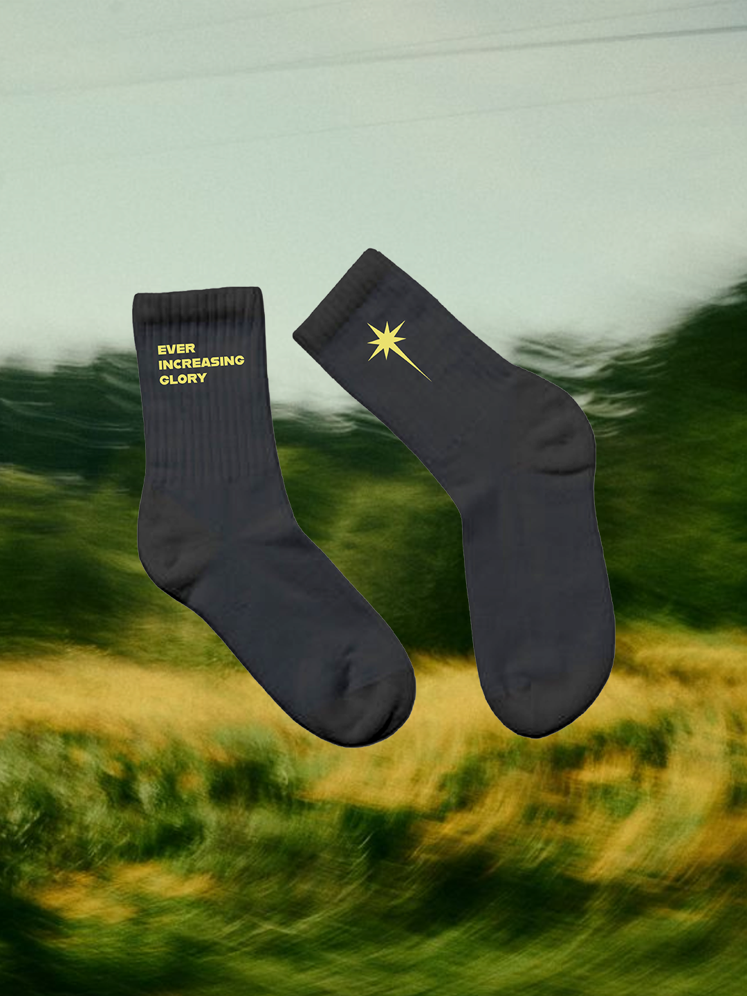 THE RALLY 2026 Socks